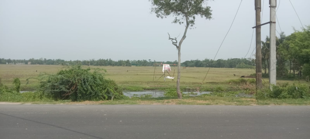 Industrial Land for sale in Tyangra Char, Kolkata
